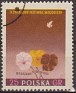 Poland 1955 Flora, Flowers 25 GR Multicolor Scott 687